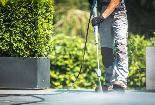 Best Dumpster Area Cleaning  in Rolesville, NC